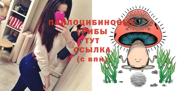 гидра Саяногорск