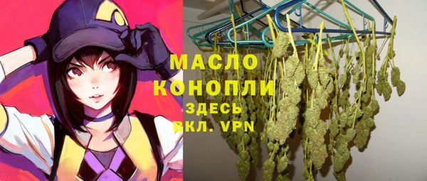гидра Саяногорск