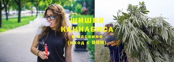 гидра Саяногорск