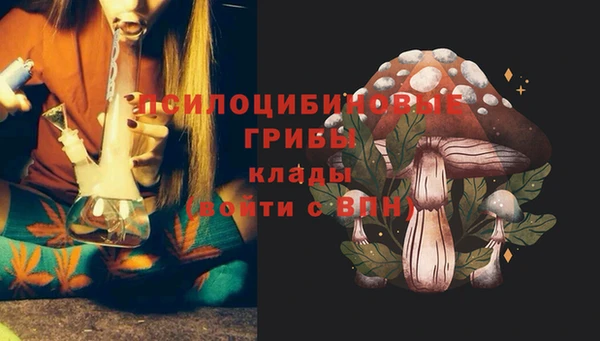 дурь Сафоново
