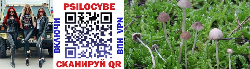 купить наркотики цена  Альметьевск  Псилоцибиновые грибы Cubensis 
