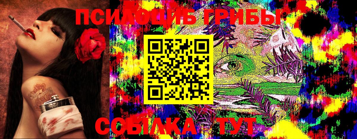 Альметьевск  Псилоцибиновые грибы прущие грибы  Вход с VPN  Галлюциногенные грибы Magic Shrooms 